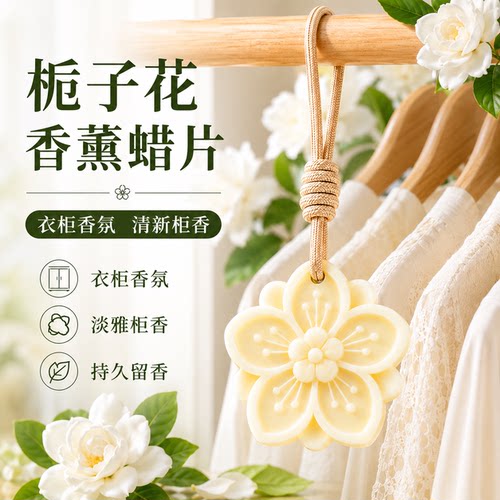 衣柜香薰蜡片女生淡香衣橱鞋柜持久散香空气清新剂香挂生日伴手礼