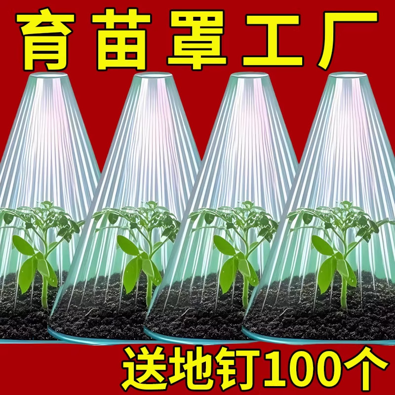 育苗保护罩加厚幼苗植物钟罩大棚菜苗霜冻大号保护防虫育苗防护罩