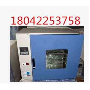 DZF-6030A真空干燥箱烘箱 智能定时真空箱 微电脑真空箱