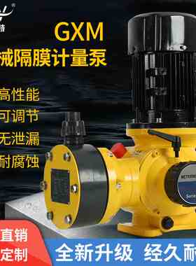 格瑞威特GXM机械隔膜计量泵防腐加药泵PAC投药泵PAM定量配比泵