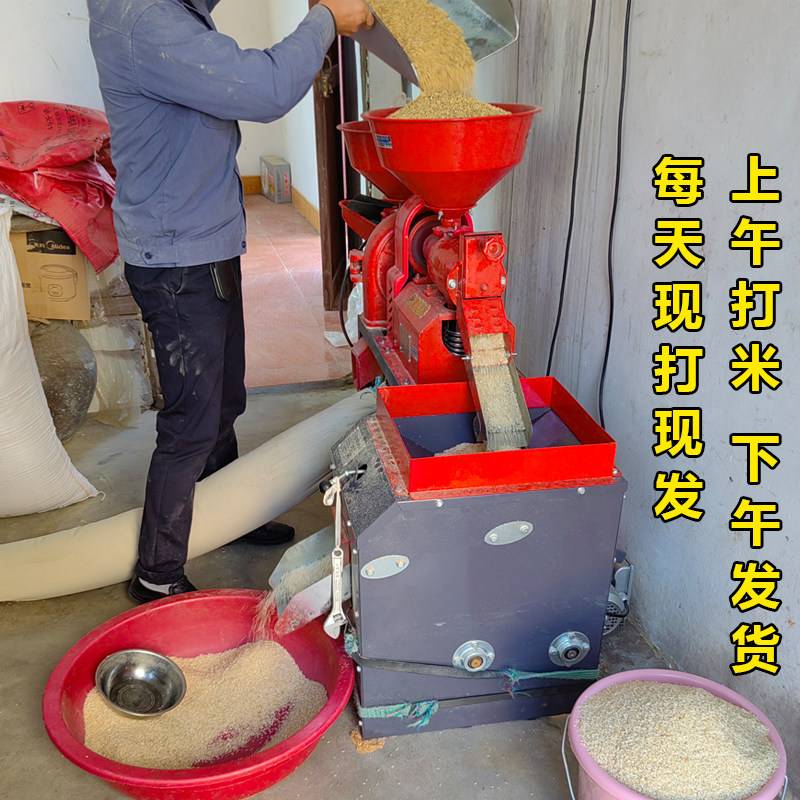 晚稻新鲜米】原生态农家米不抛光乡下农村自种新米高山梯田泉水米
