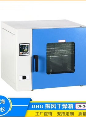 DHG-9013A鼓风干燥箱实验室大屏数显小型16L