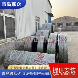 供应钢丝绳提升带 斗提机带 双层防撕裂输送带 ST1250矿用多型号