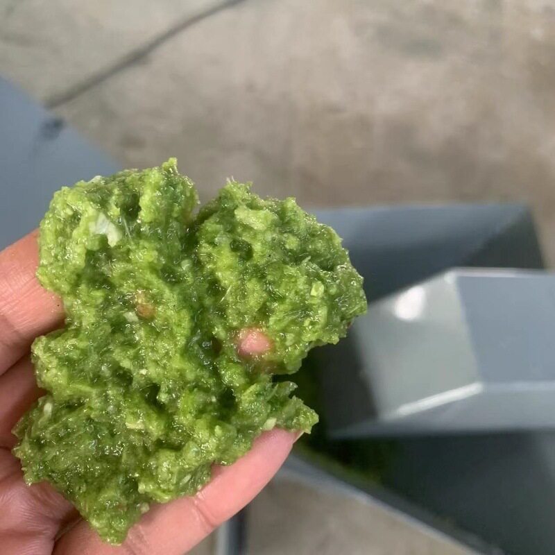 红薯秧干湿秸秆揉丝机 蔬菜尾菜打浆机 牛羊饲料铡草揉丝机