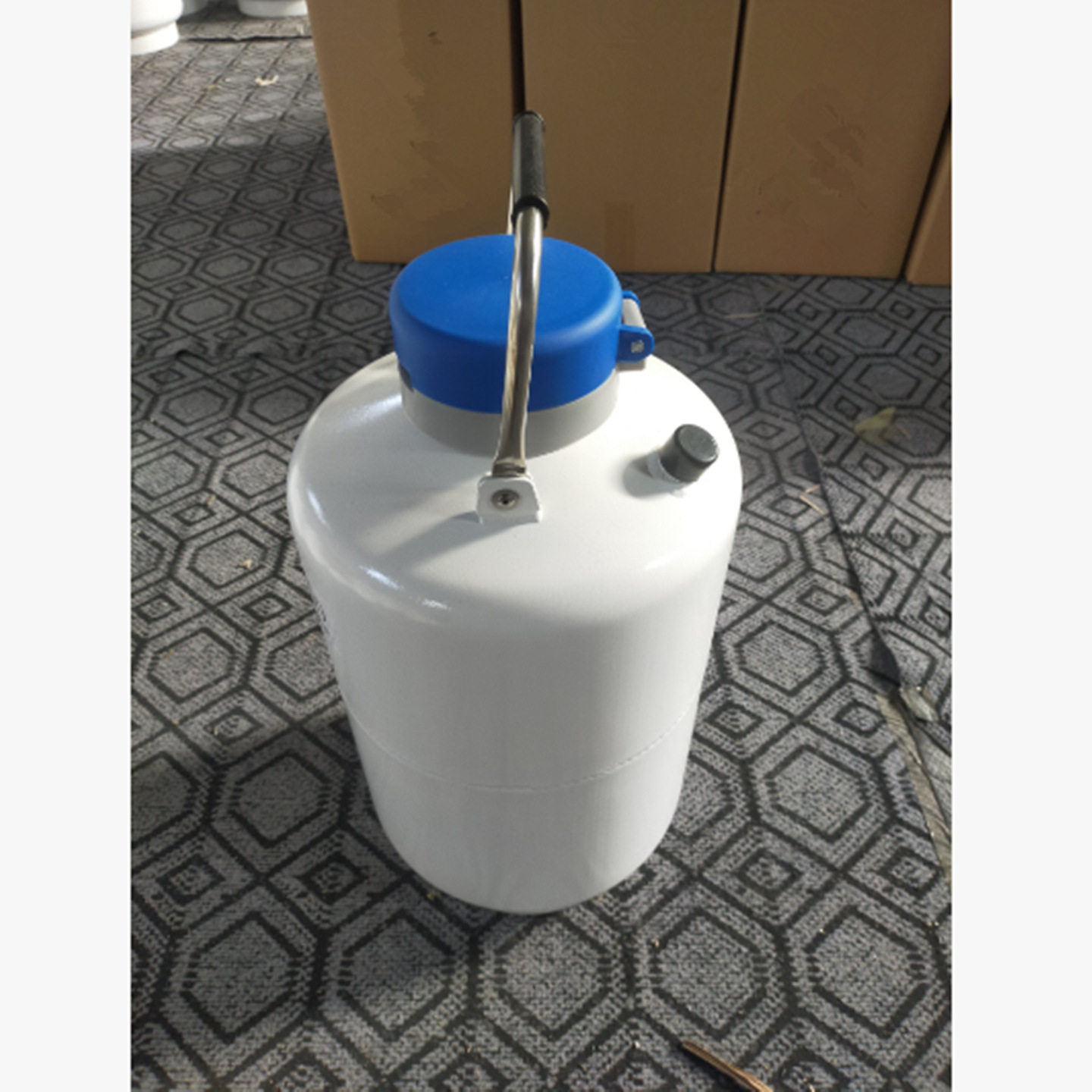 液 氮罐 /便携式液 氮罐10L 型号:ZXYDG-10库号：M410676