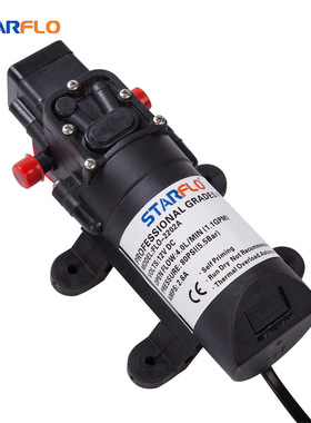 FL-2402A电动隔膜泵微型直流洗车泵智能清洗泵12V压力开关型