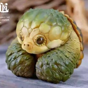 博物志 2024限定 吨吨动物园龟白化拟大鳄龟树脂U潮玩手办摆件模