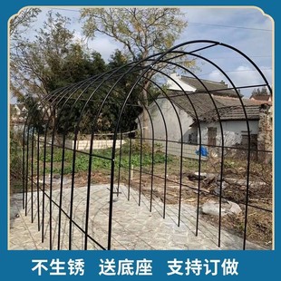 葡萄架爬藤架花园拱门庭院户外紫藤绿萝花支架拱形花架月季 花架子