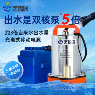 潜水泵充电式水泵家用抽水浇菜12v24v大功率花园便携式户外抽水泵