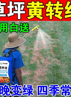 草坪专用肥料增绿剂草坪干t枯发黄促生根草皮返青园林绿化肥料专