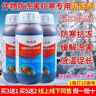 植物防冻剂抗寒抗冻果树蔬菜花卉苗木大棚通用倒春寒抗冷防冻液