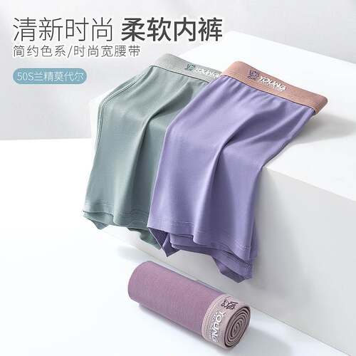 Shorts For Men Underpants Underwear Breathable Boxer Brief