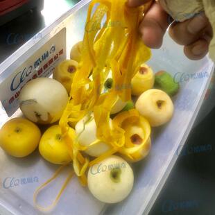 d广东廉江红橙削皮机四川金堂脐橙刮皮机全自动橙子切片机设备