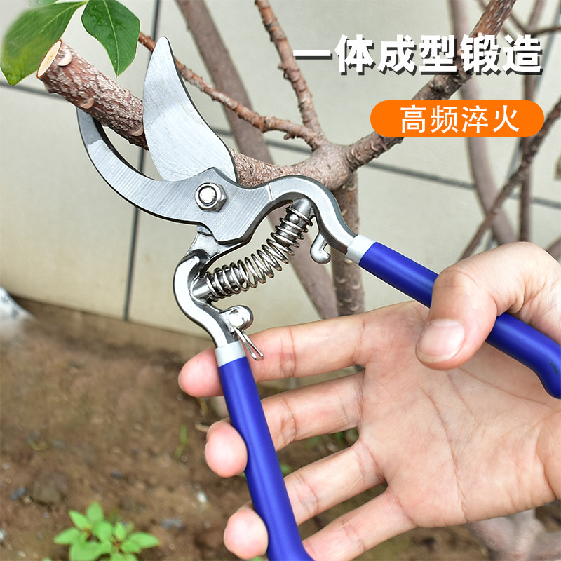 果树修枝剪树枝专用花艺花卉枝剪子剪枝园林工具花剪修剪园艺剪刀图片