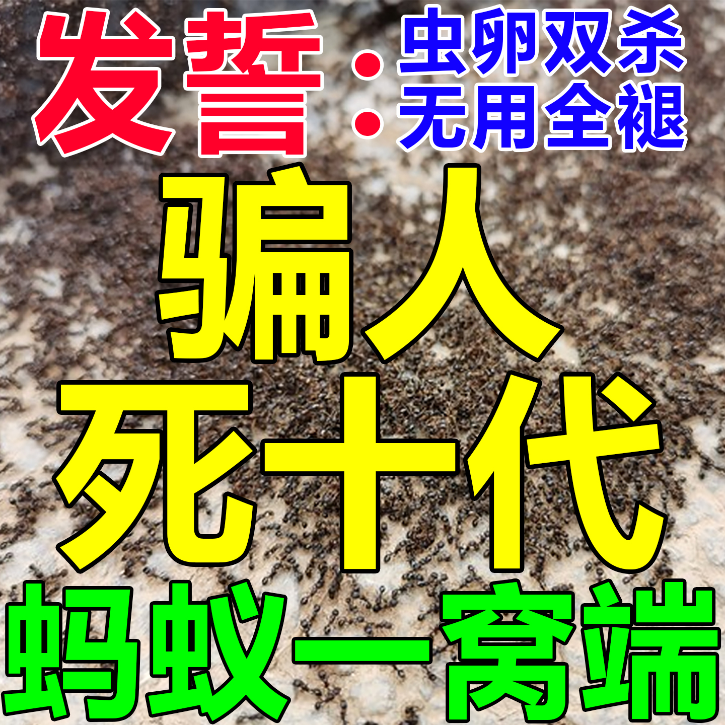 杀蚂蚁专用药一窝端无效全退