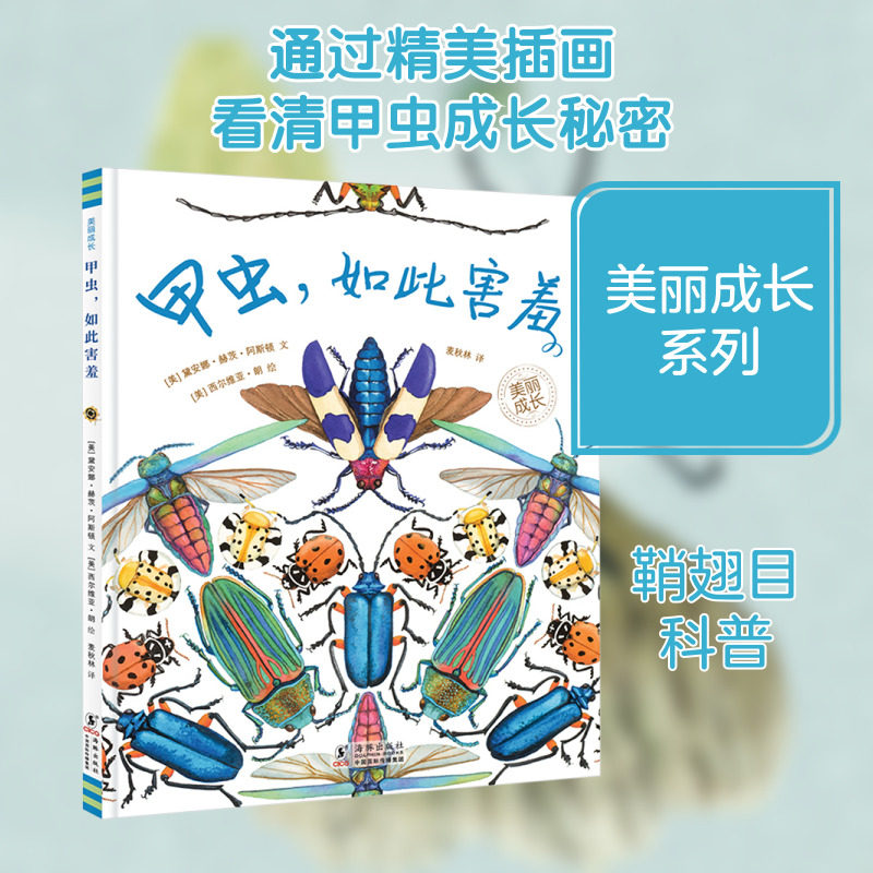 甲虫,如此害羞