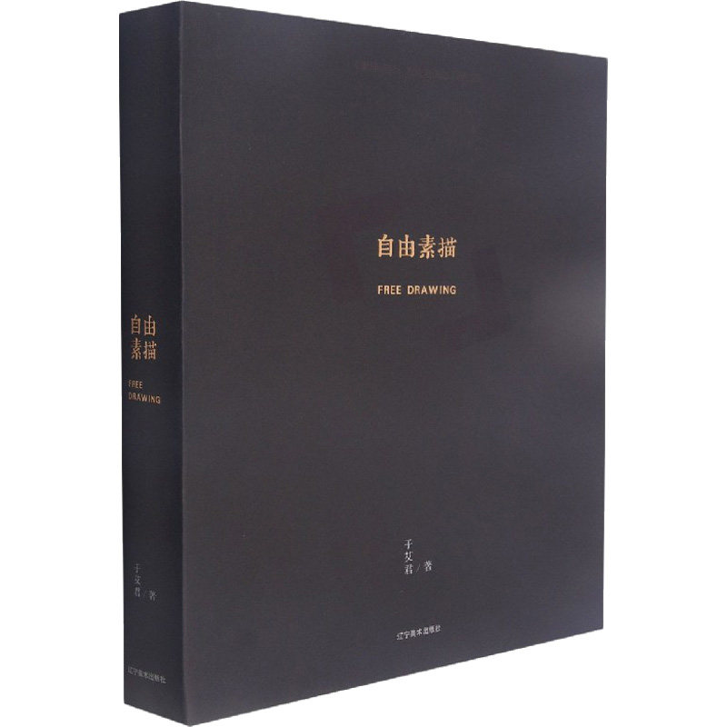 自由素描:素描研究:方倪与语态 于艾君 著 辽宁美术出版社