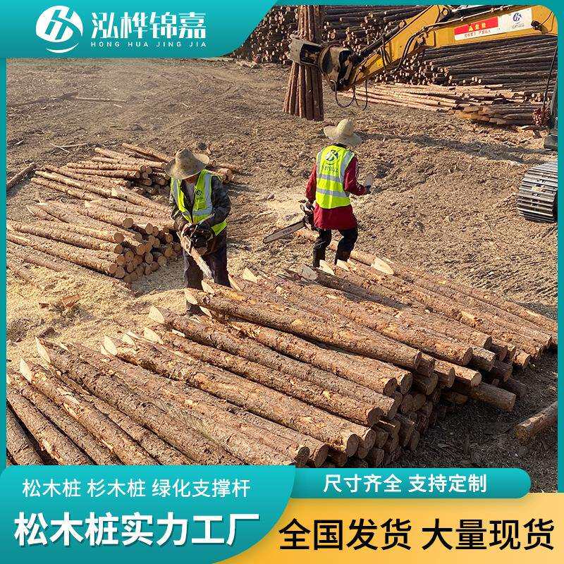 本地建筑河道松木桩松木木梁木柱子河堤松树桩直发