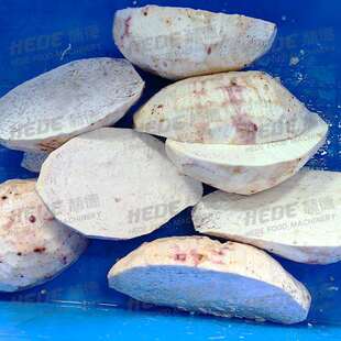 输送带白菜切根机全自动蔬菜切根机小白菜小葱切根机