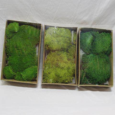 永生苔藓墙块状大藓画植物墙绿苔绿墙仿真花盆景室内仿真植物墙
