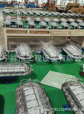 矿用隔爆型LED机车灯DGY24/24L矿用隔爆型LED机车照明灯DGY9/36L