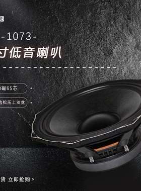 10寸音响低音喇叭单元170磁65芯大功率全频中低音娱乐KTVpeaker