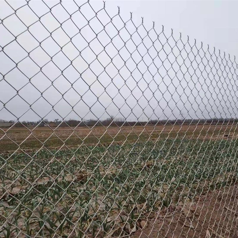 养殖勾花钢丝网圈猪牛羊狗镀锌铁丝网喷浆挂网植草护坡菱形编织网,搬运/仓储/物流设备,机械式停车设备（立体停车库）,淘宝优惠券,粉丝福利购,淘宝优惠卷