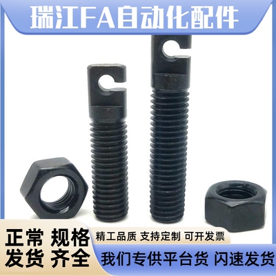 FFL01-D3/D4/D5/D6-L15/L20/L25拉伸弹簧支柱 带扁方全牙型AIPOK