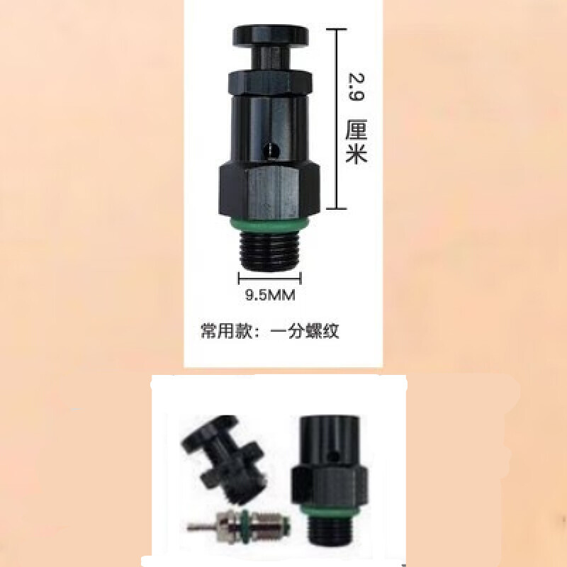 开关配件快拍排气泄压阀新款气门芯快速按压式泄气快速除尘设备 标准件/零部件/工业耗材 气阀 原图主图