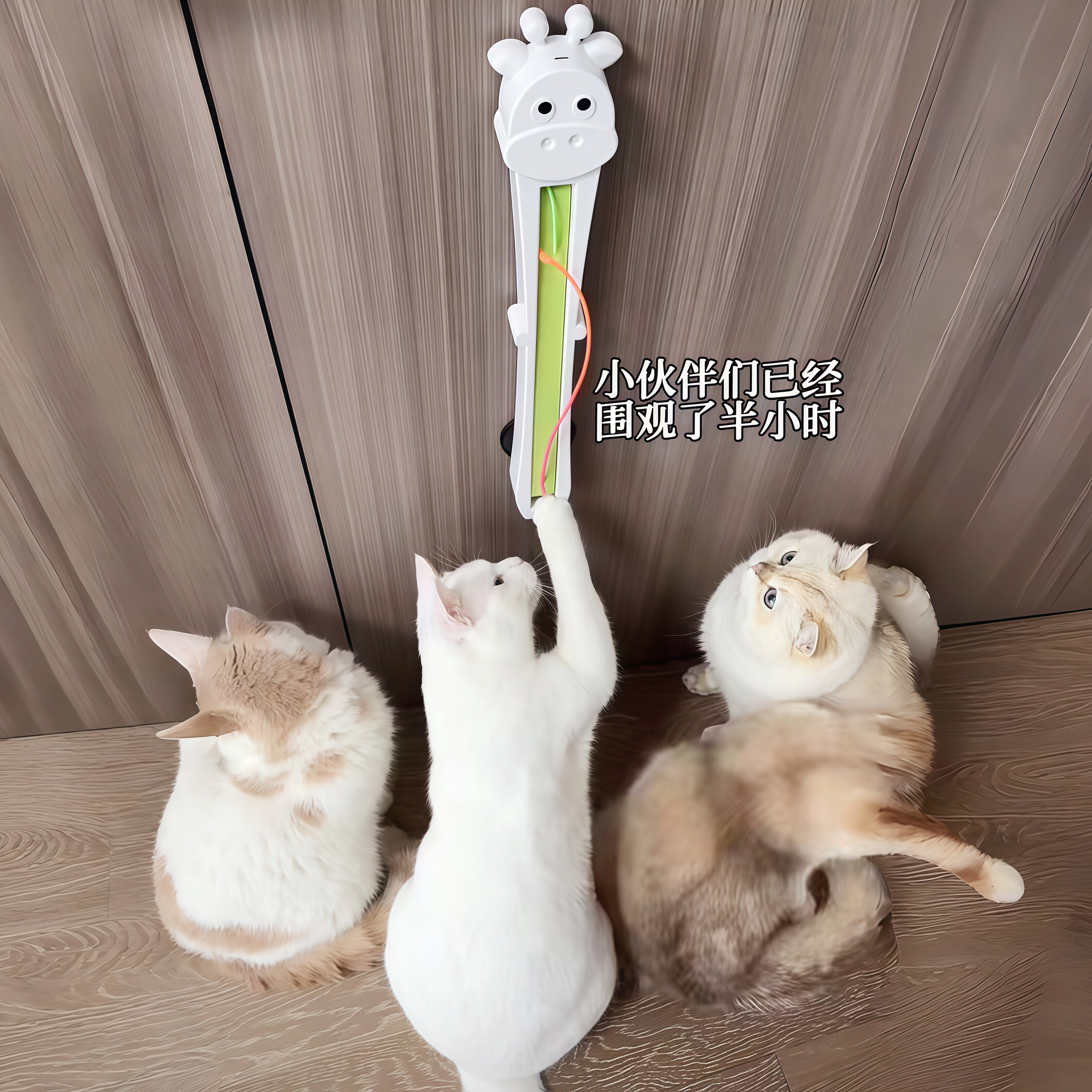 全自动逗猫甩绳机猫咪自嗨解闷图片