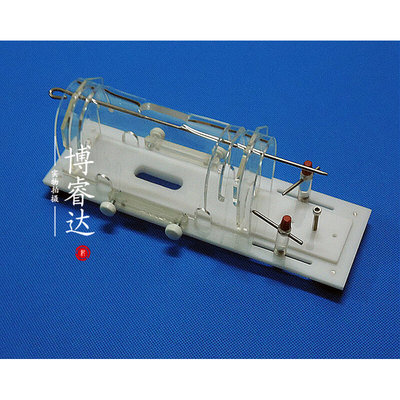 。小鼠固定器 大鼠固定器 小白鼠固定筒 大白鼠固定筒 尾静脉注射