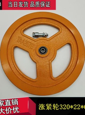 奥的斯/蒂森320*6201*6003*6004底坑限速器涨紧轮TAA267B