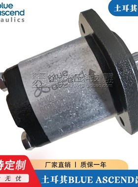 土耳其BLUE ASCEND齿轮泵AP30.170/220/270/320/340/380/430R油泵