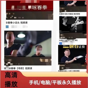 臻传咏春 壁华咏春拳之小念头寻桥标指木人桩八斩刀精讲课程