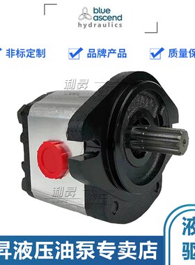 土耳其BLUE ASCEND齿轮泵AP10.009/012/017/023/027/032/038/043