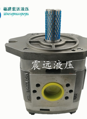 VOITH系列IPH6-80/100/125 101齿轮泵IPH6-125 101