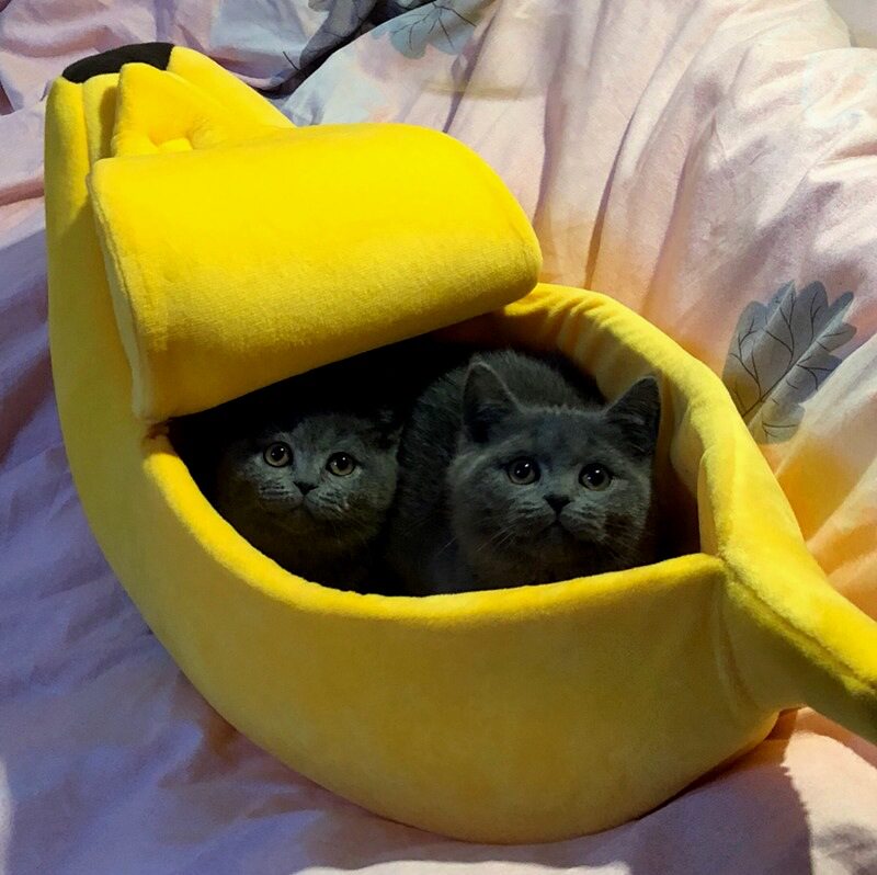 宠物用品创意香蕉窝半封闭式猫窝狗床宠物窝 透气香蕉船猫咪宠窝
