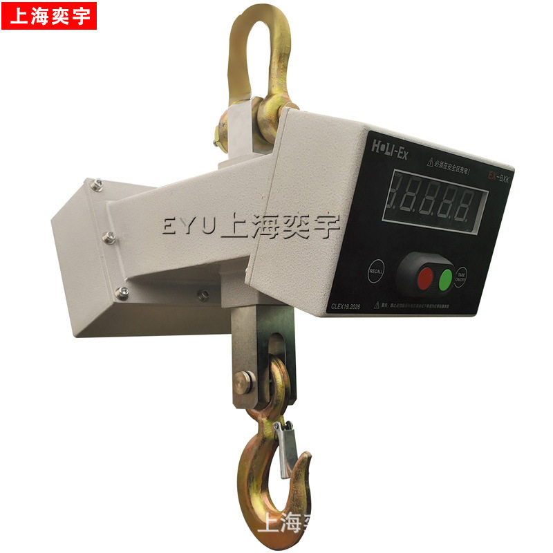隔爆直视防爆电子吊秤