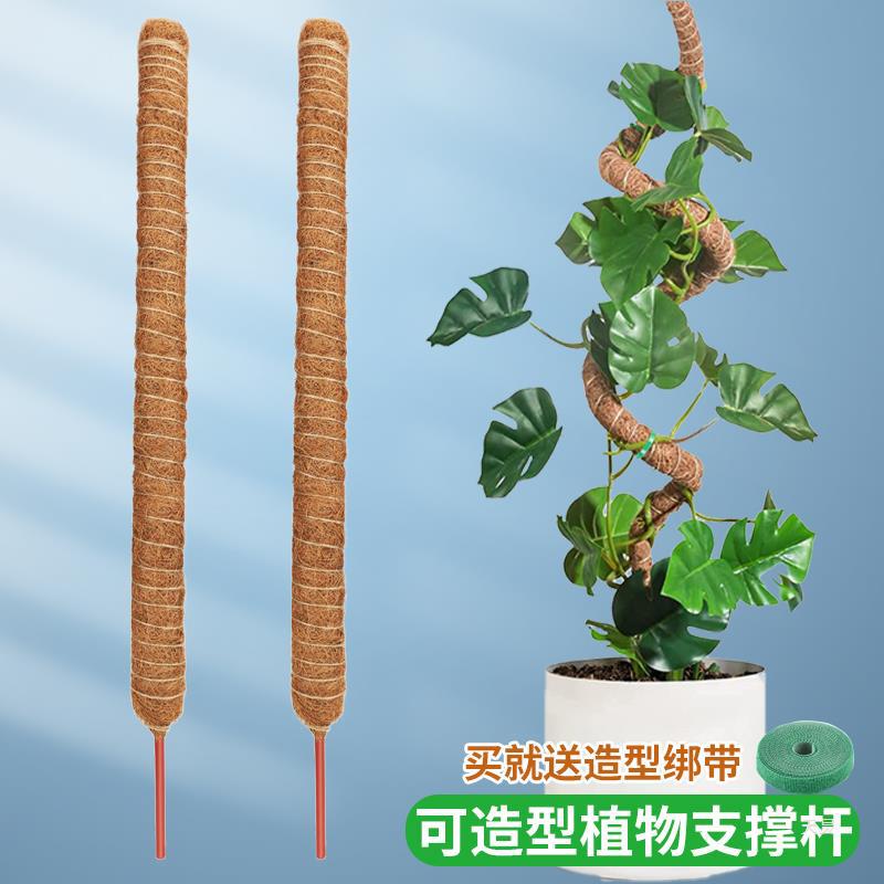 创意龟背竹支撑杆绿萝柱固定支架棕柱椰棕棒棕榈柱植物园艺爬藤柱