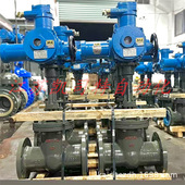 带485通讯 电动闸阀 DN250矿用隔爆兼本安型一体式 MKZ941H 64C