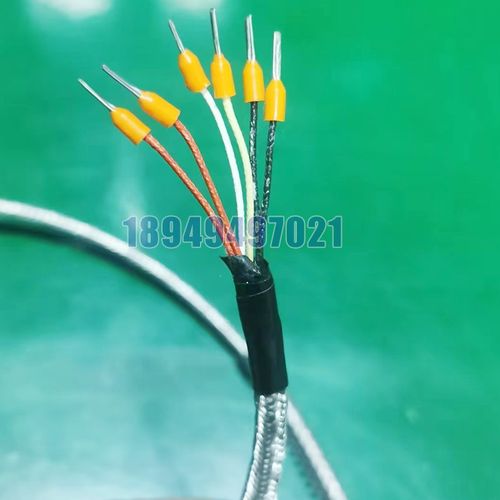 安徽天康K/E型压簧式热电偶WRNT-01/02电热偶Pt100热电阻