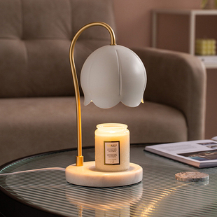 香薰蜡烛融蜡灯野兽o幽谷铃兰大理石无烟热熔蜡灯浪漫卧室台灯