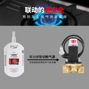 家用燃气报警f器煤气泄漏自动切断阀天然气电磁阀管道煤气防漏断
