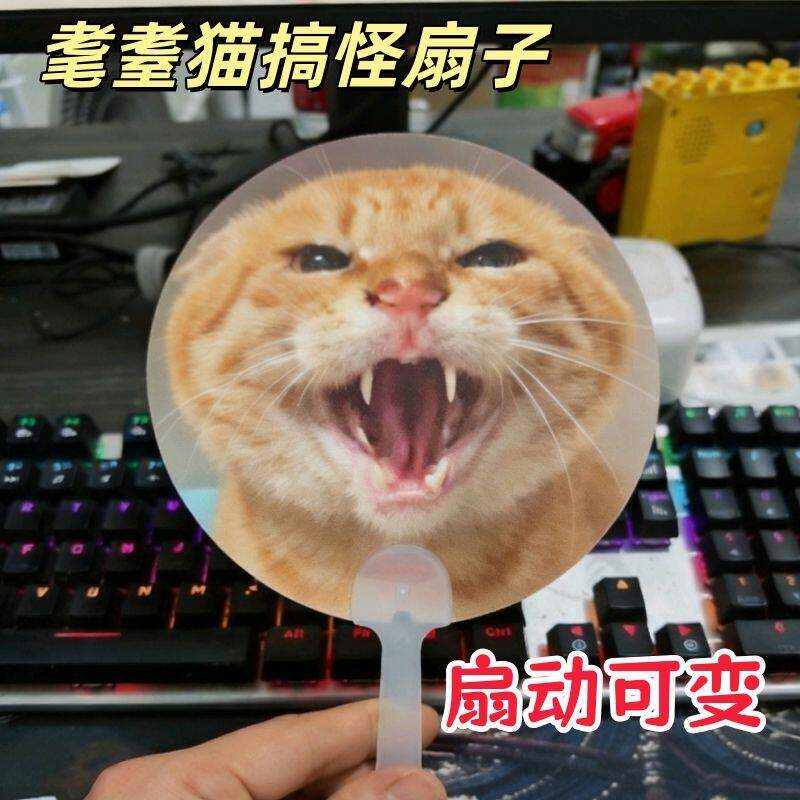 耄耋小猫光栅扇子2026新