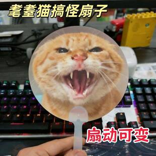 耄耋小猫光栅扇子2026新款变换搞怪哈基咪曼波手持扇夏季清凉扇