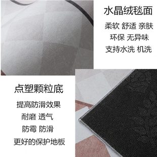 客厅地毯轻奢家用卧室房间床边毯简约现代沙发茶几地垫可水洗