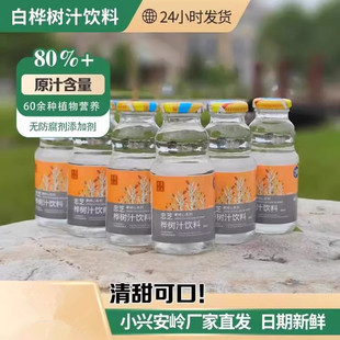 忠芝伊春天然白桦树汁原液植物饮料248ml*6瓶小兴安岭伊春特产