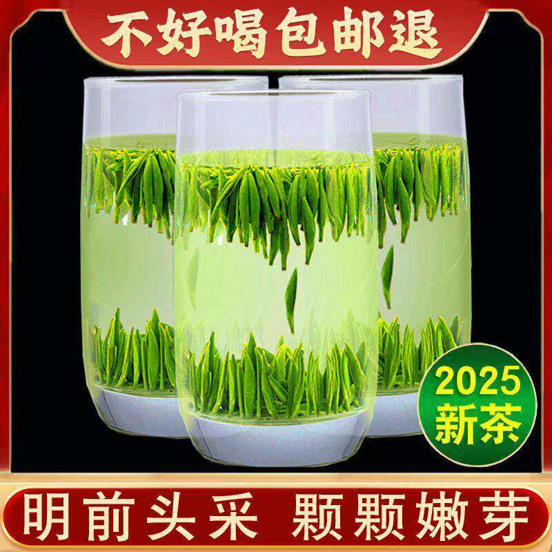 毛尖茶叶绿茶2025新茶明前头采特级嫩芽高山雀舌信阳自产自销250g