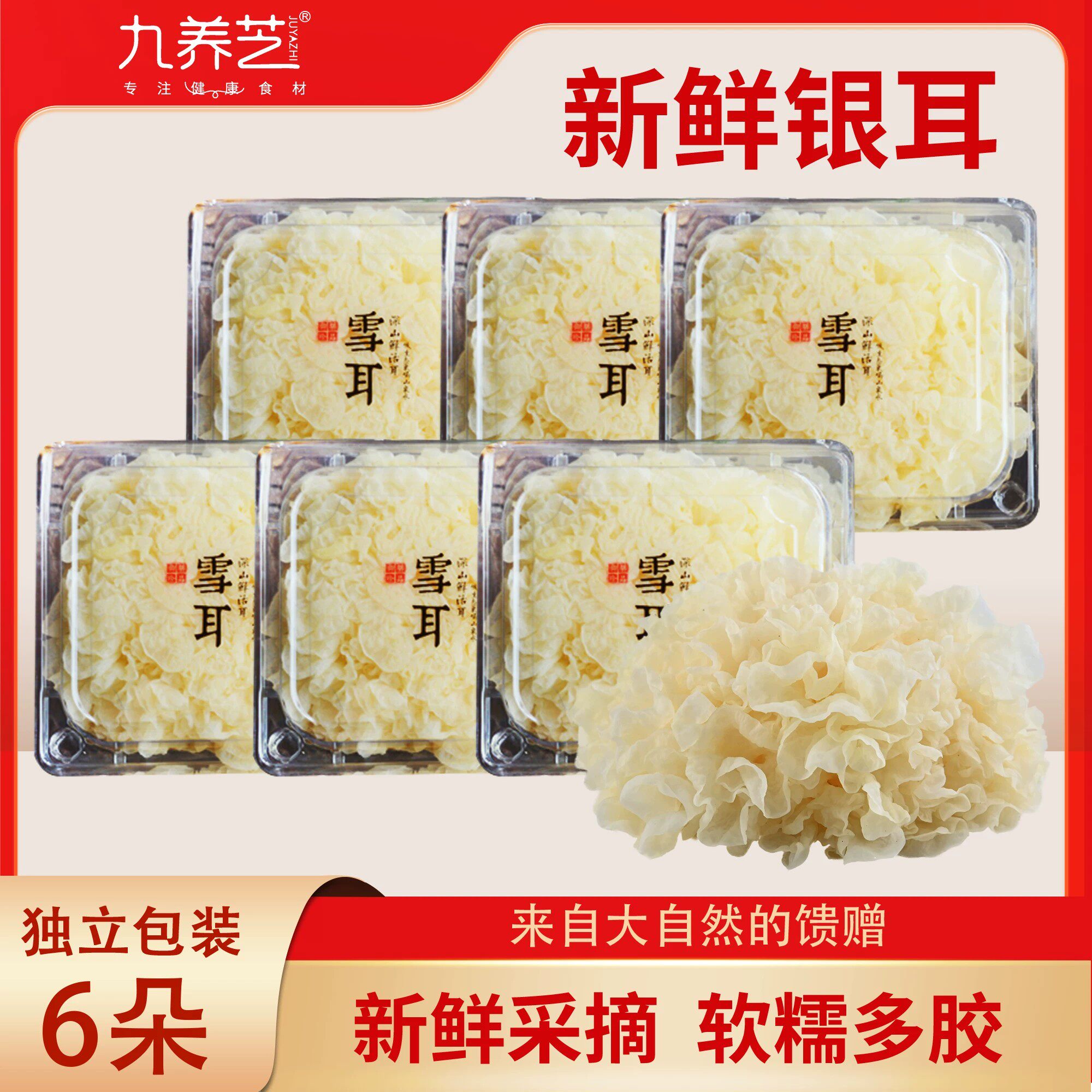 福建古田新鲜银耳120g*6朵装雪耳深山山泉雪耳白木耳软糯顺丰包邮