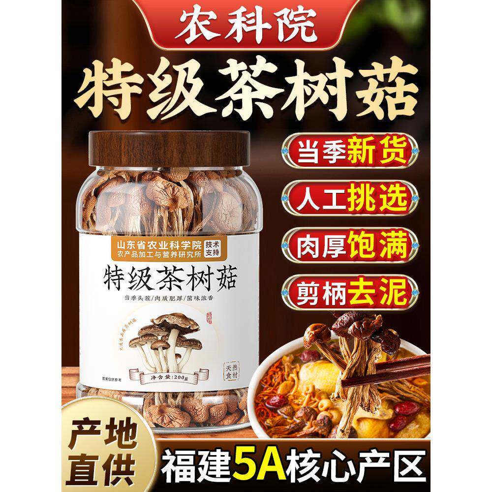 云南新鲜茶树菇干货特级正品旗舰店新鲜煲汤食材农家菌菇600g